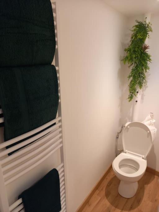 Le Charmant Accueil Viennois/T2/Wifi/Cosy/Parking Poitiers Buitenkant foto